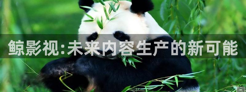 琪琪福利午夜影院