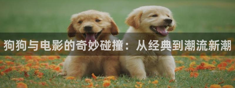 琪琪色免费在线影院