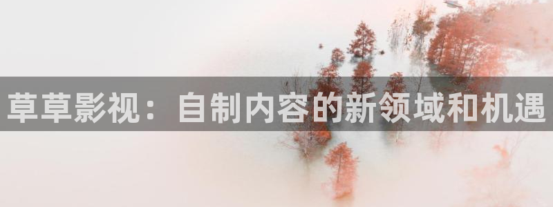 琪琪电影播放器