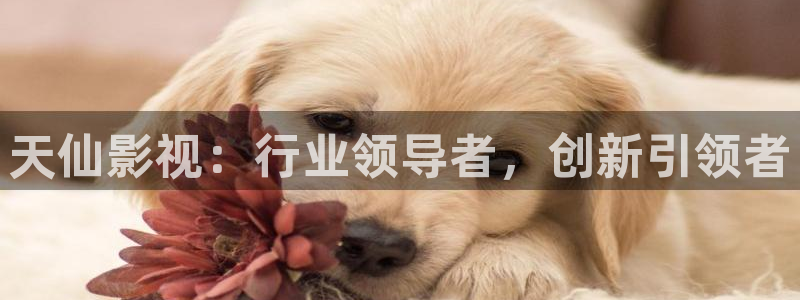 琪琪综合影院