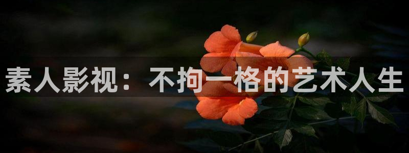 琪琪影院原网址在线