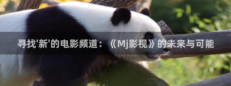琪琪影院在线免费观看